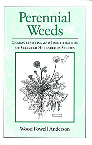 Perennial Weeds:  Characteristics and Identification of Selected Herbaceous Species